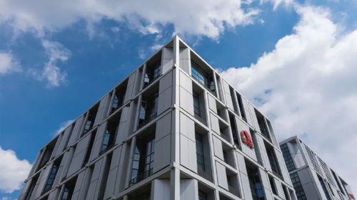 東方雨虹再度躋身2024全球建筑材料上市公司綜合實力排行榜，技術(shù)服務(wù)成核心競爭力
